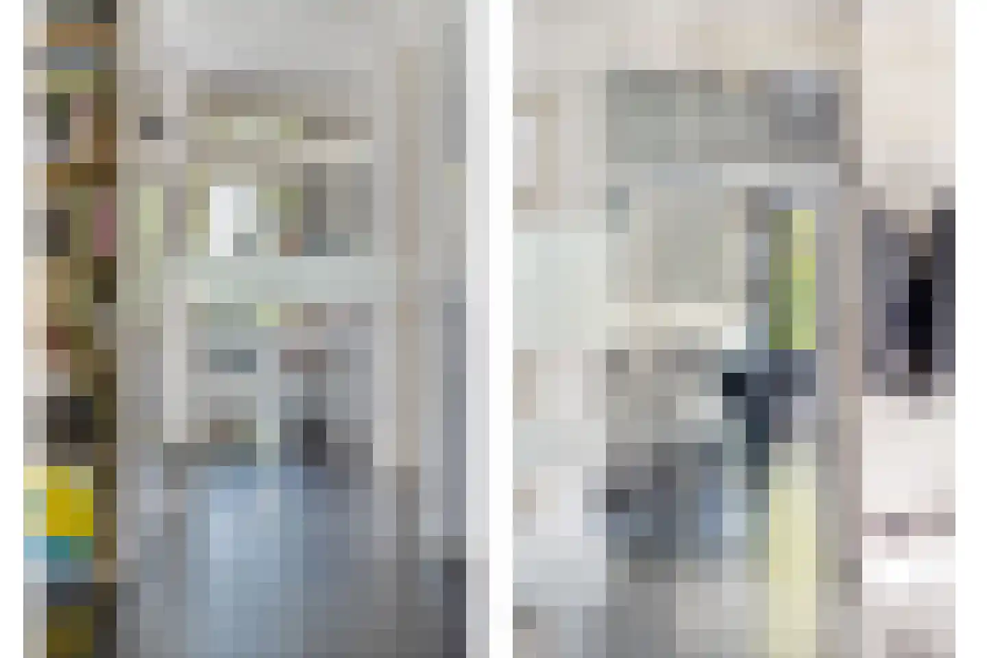 't Leemsveld 9 Helmond thumbnail 6