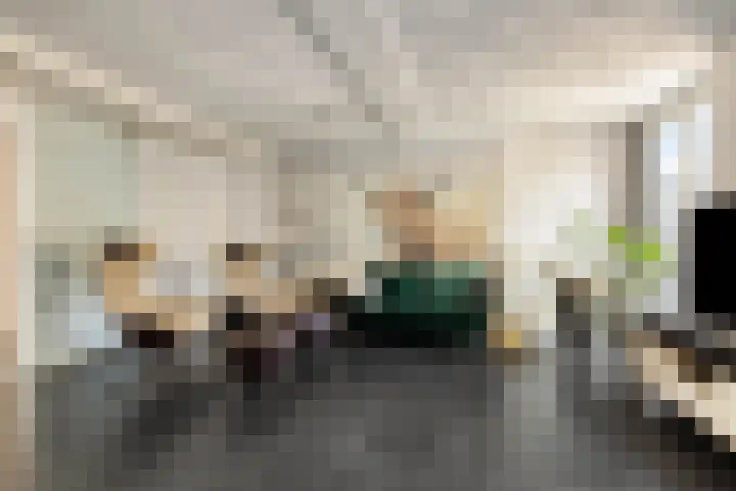 't Leemsveld 9 Helmond thumbnail 8