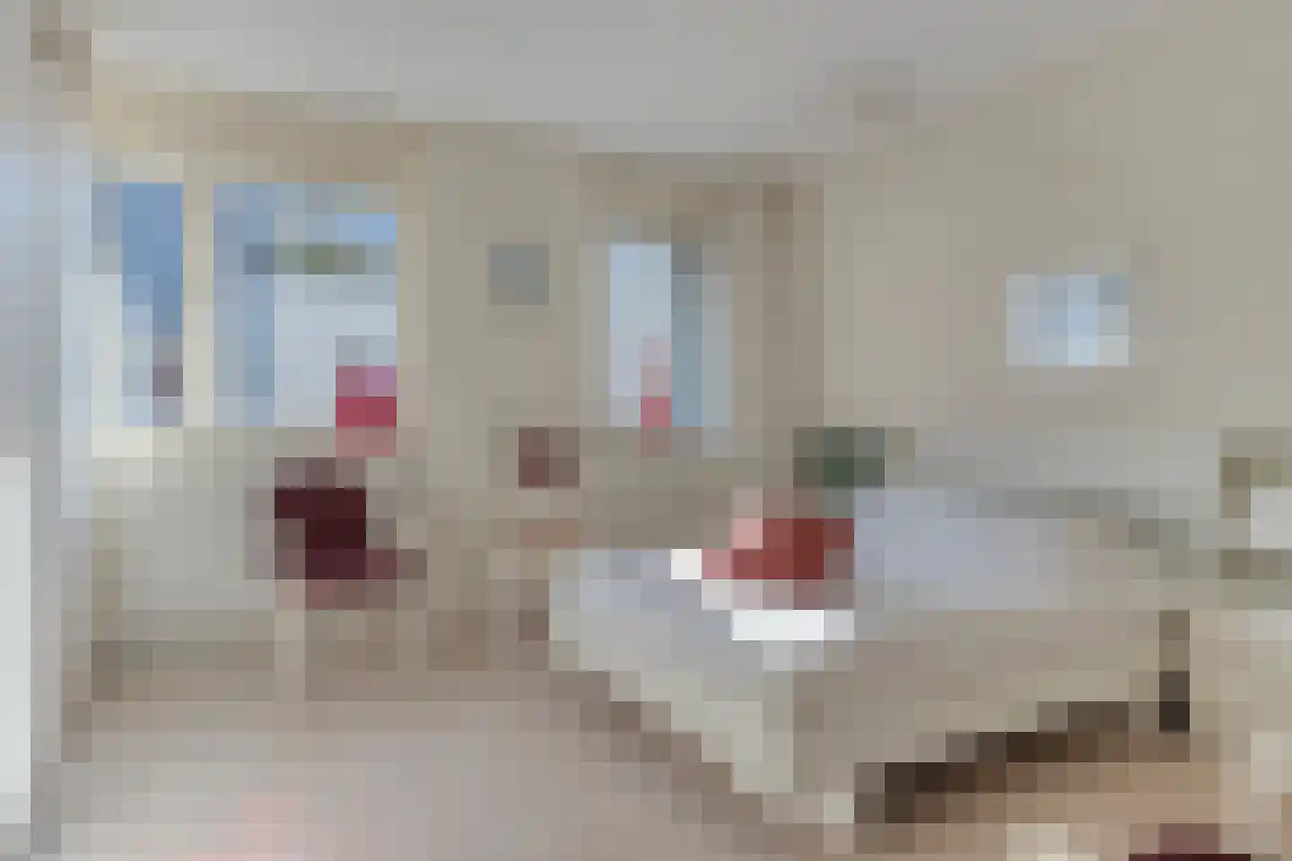 't Lindeke 12 Halsteren thumbnail 26
