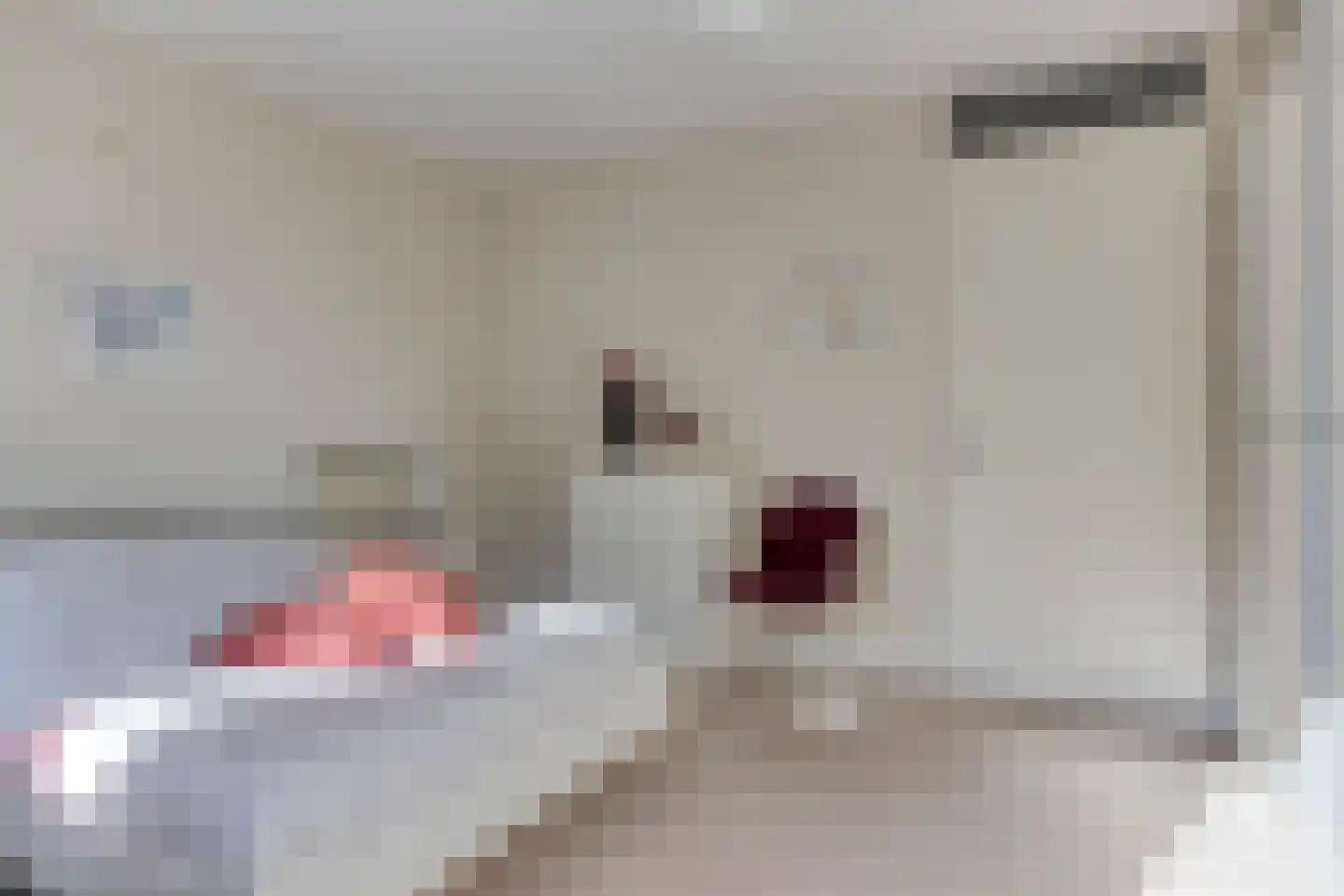 't Lindeke 12 Halsteren thumbnail 27