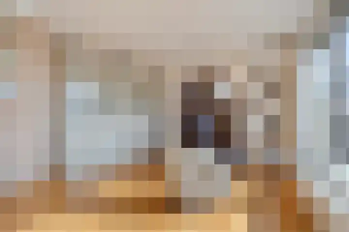 't Lindeke 14 Halsteren thumbnail 13