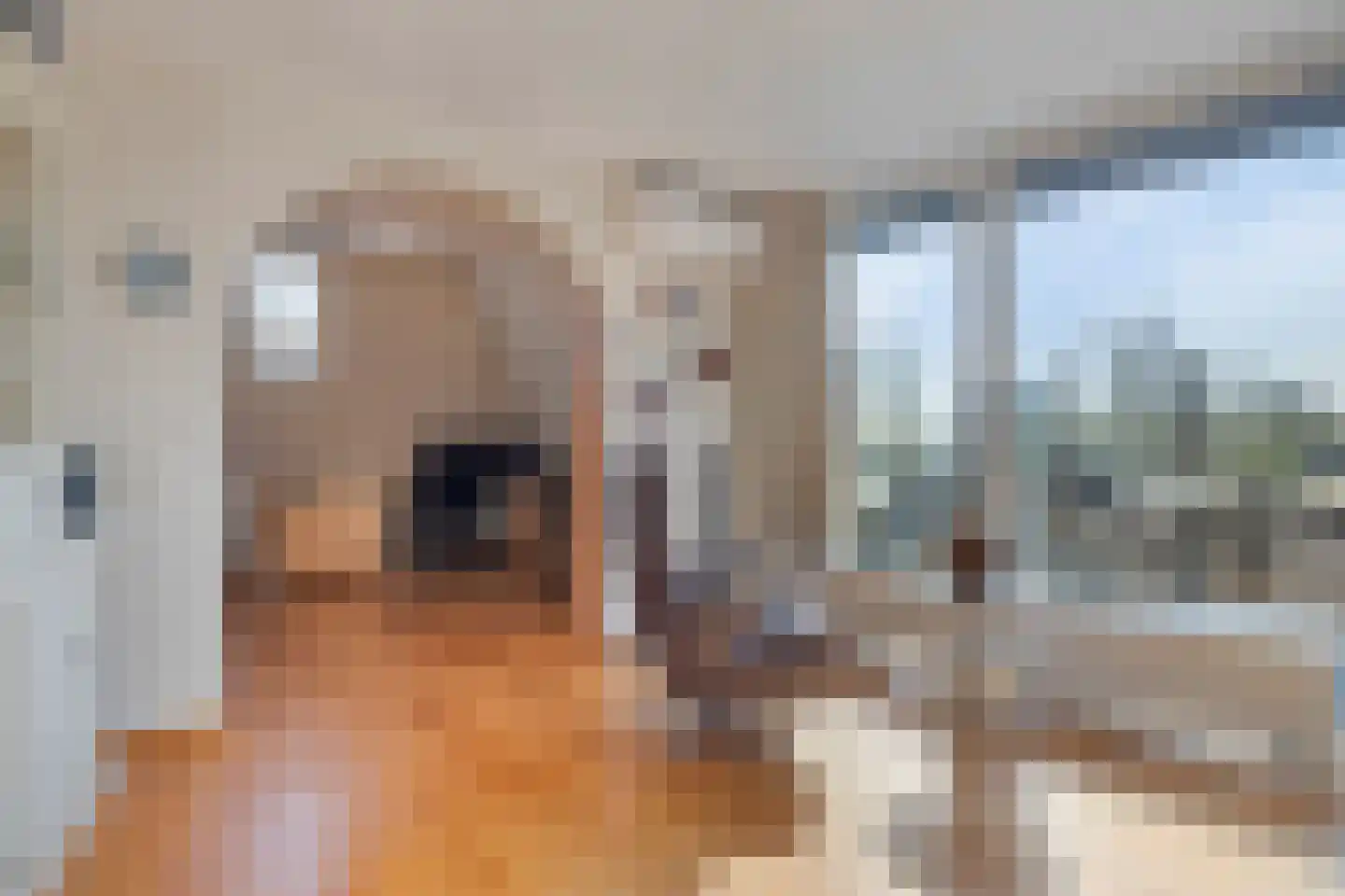 't Lindeke 14 Halsteren thumbnail 14
