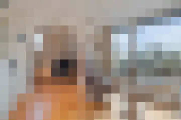 't Lindeke 14 Halsteren thumbnail 14