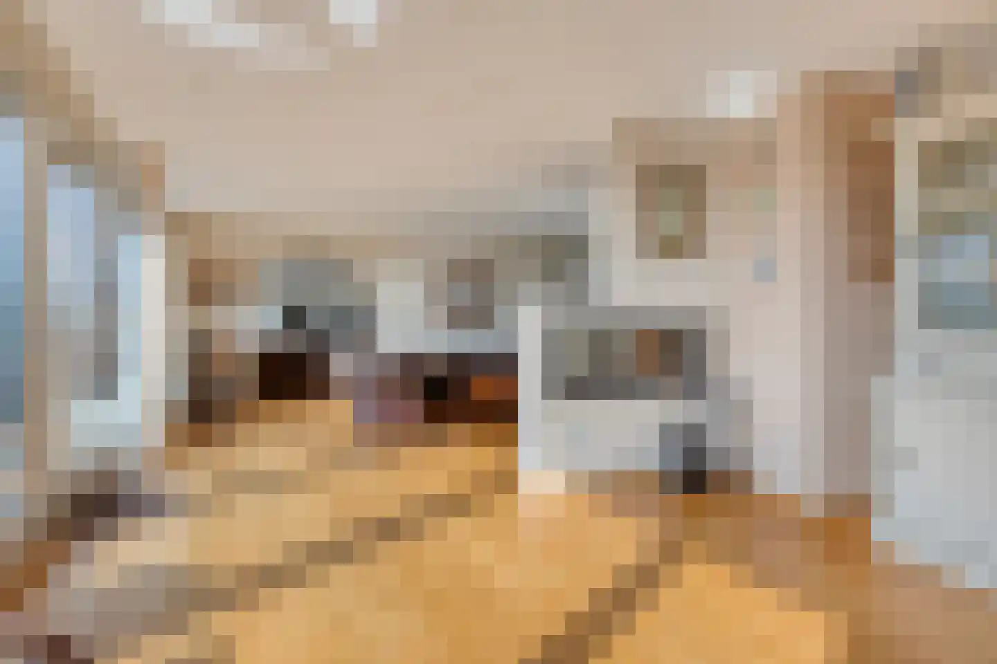't Lindeke 14 Halsteren thumbnail 15