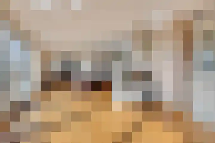 't Lindeke 14 Halsteren thumbnail 15