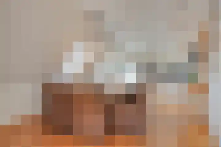 't Lindeke 14 Halsteren thumbnail 19
