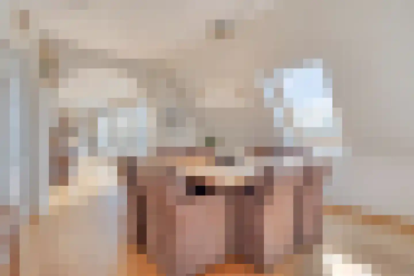 't Lindeke 14 Halsteren thumbnail 20