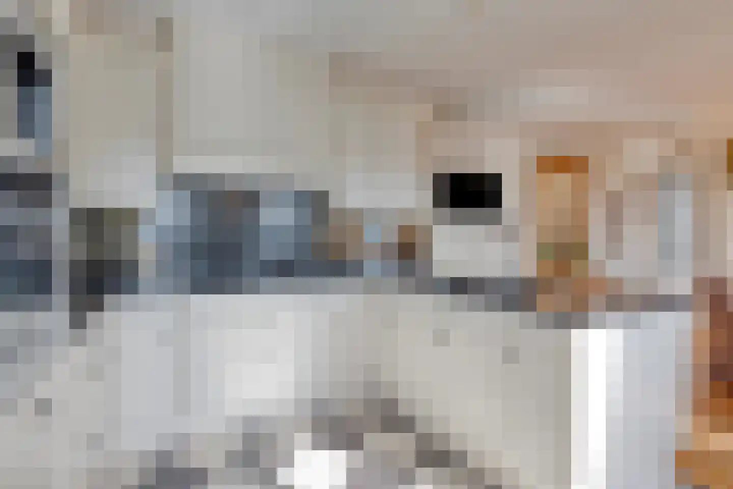 't Lindeke 14 Halsteren thumbnail 25