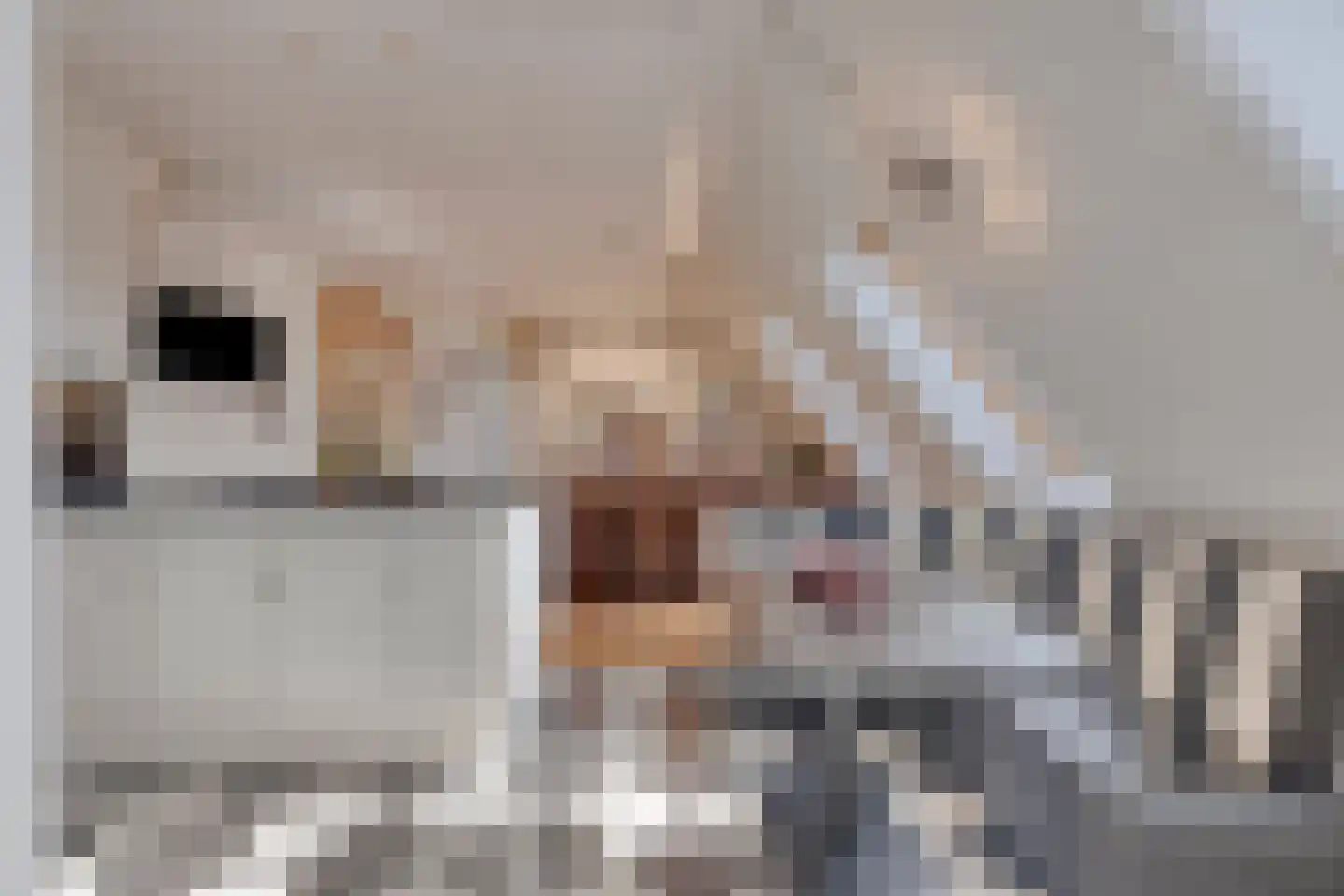 't Lindeke 14 Halsteren thumbnail 27
