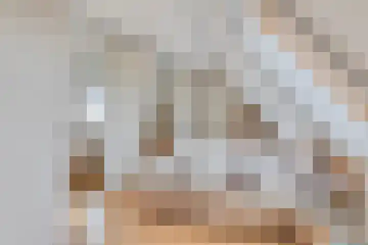 't Lindeke 14 Halsteren thumbnail 30