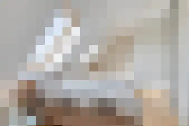 't Lindeke 14 Halsteren thumbnail 32