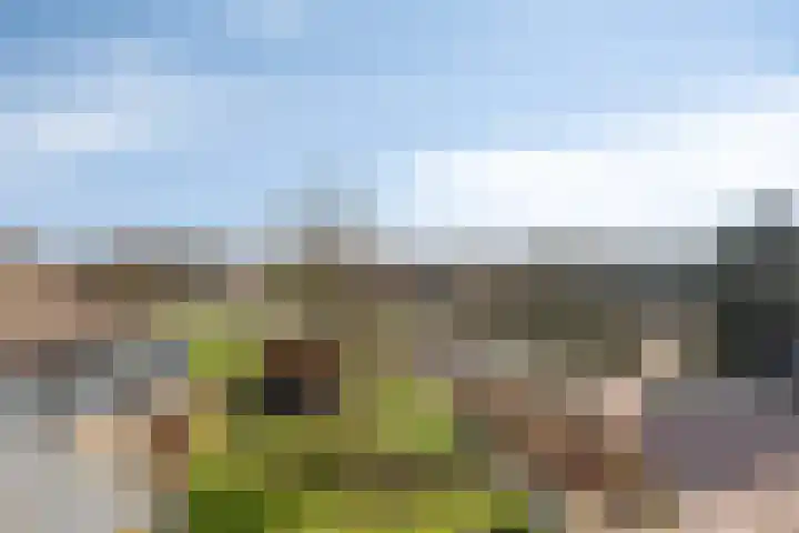 't Lindeke 14 Halsteren thumbnail 46