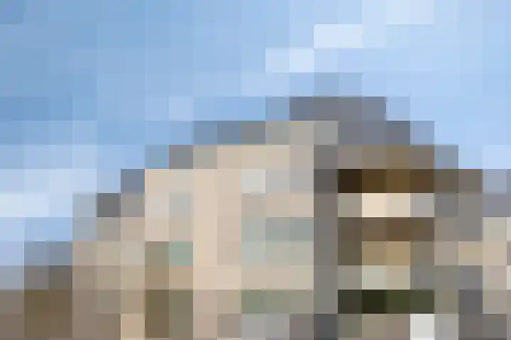 't Lindeke 14 Halsteren thumbnail 51