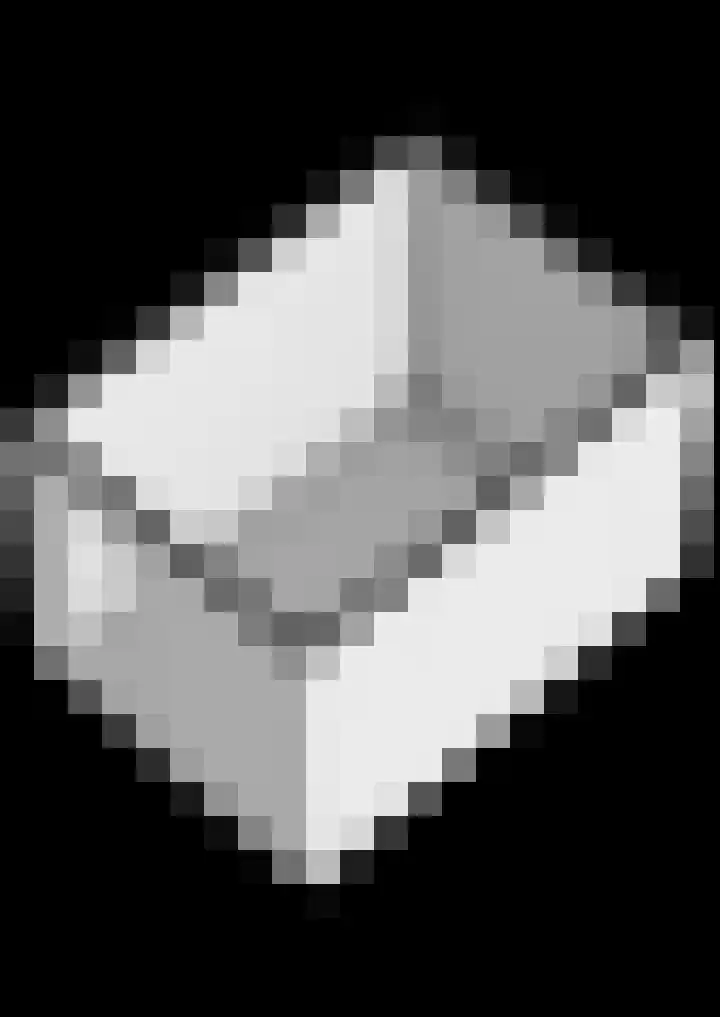 't Lindeke 14 Halsteren thumbnail 61