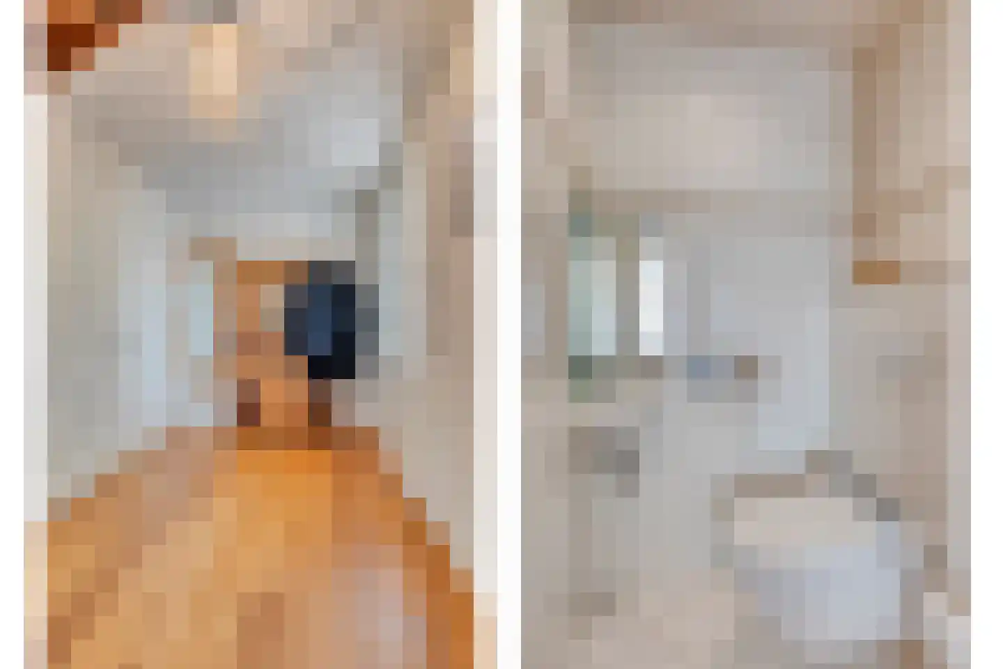 't Lindeke 14 Halsteren thumbnail 7
