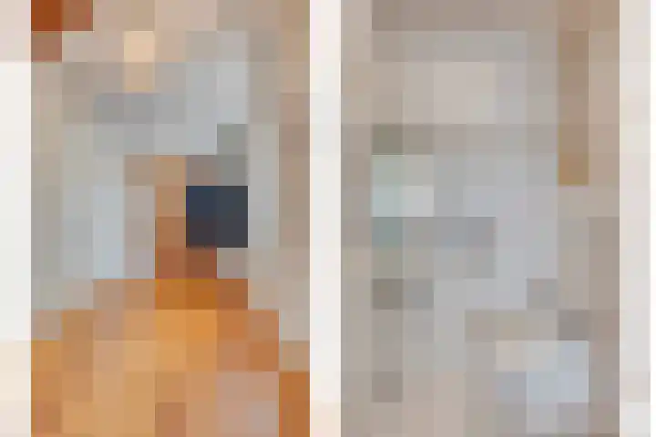 't Lindeke 14 Halsteren thumbnail 7