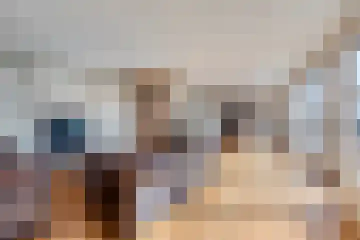 't Lindeke 14 Halsteren thumbnail 8