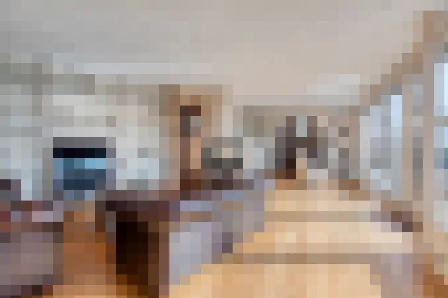 't Lindeke 14 Halsteren thumbnail 8