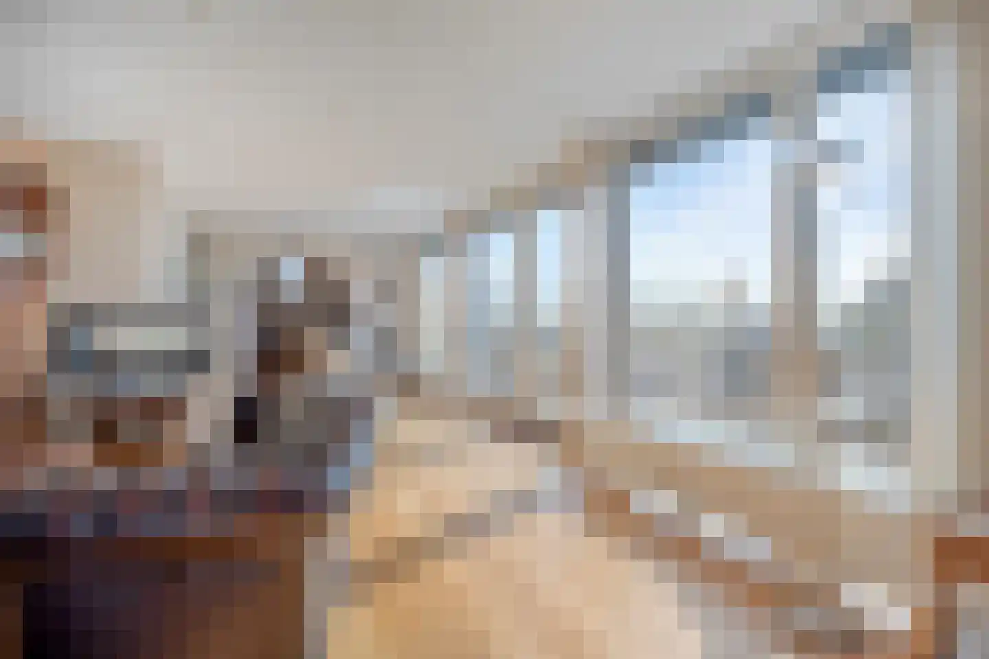 't Lindeke 14 Halsteren thumbnail 9