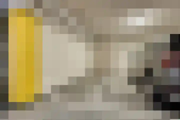 't Lindeke 42 Halsteren thumbnail 11