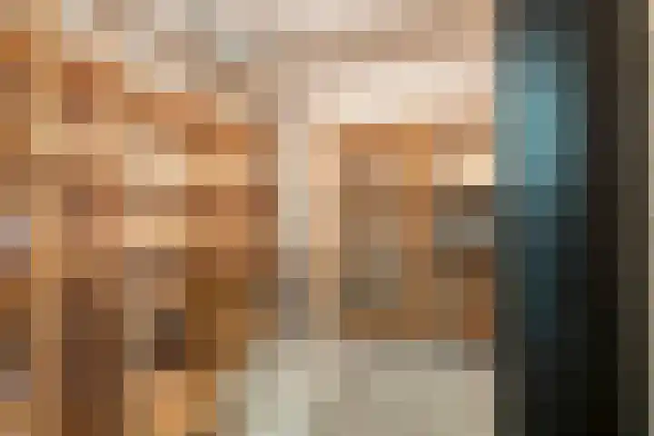 't Lindeke 42 Halsteren thumbnail 12