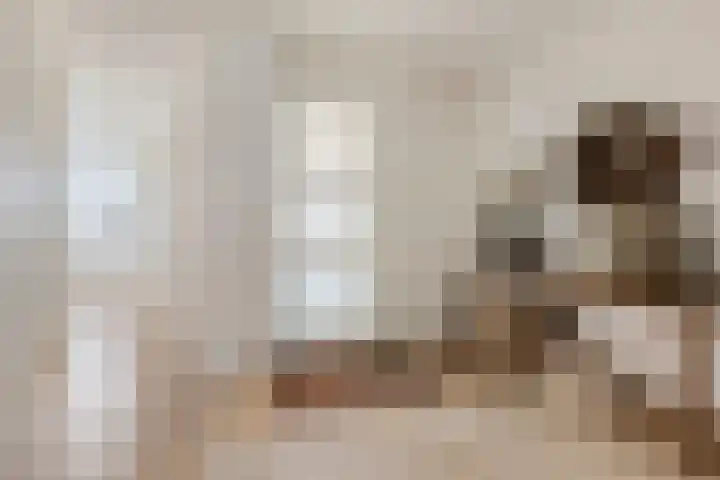 't Lindeke 42 Halsteren thumbnail 13
