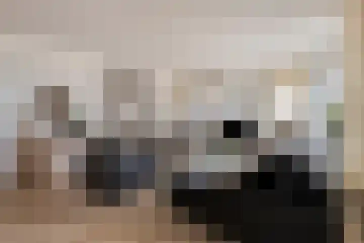 't Lindeke 42 Halsteren thumbnail 18