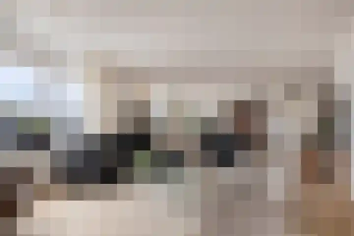 't Lindeke 42 Halsteren thumbnail 19