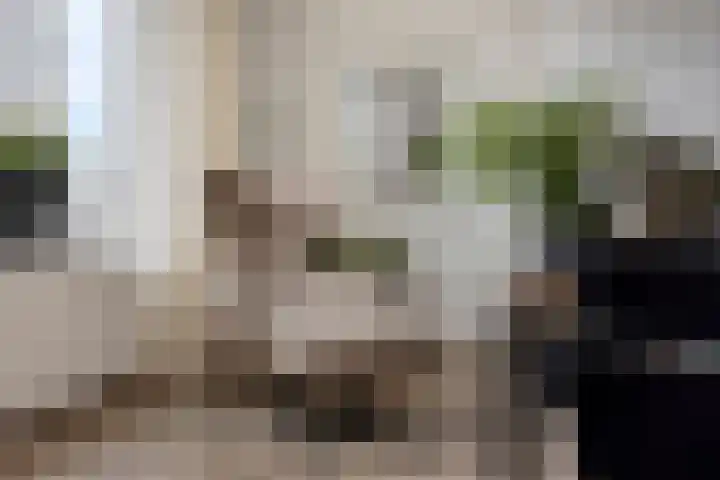 't Lindeke 42 Halsteren thumbnail 20