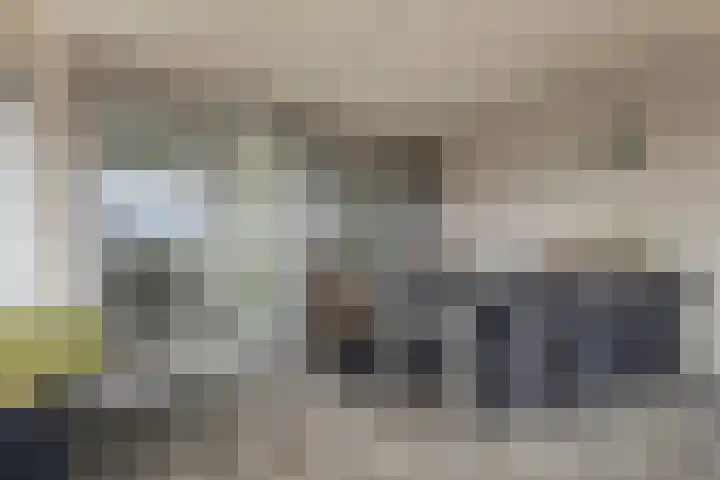 't Lindeke 42 Halsteren thumbnail 23