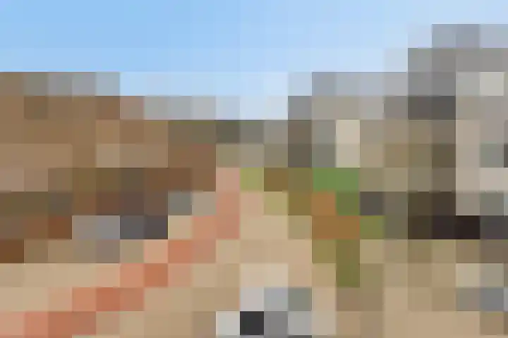't Lindeke 42 Halsteren thumbnail 25