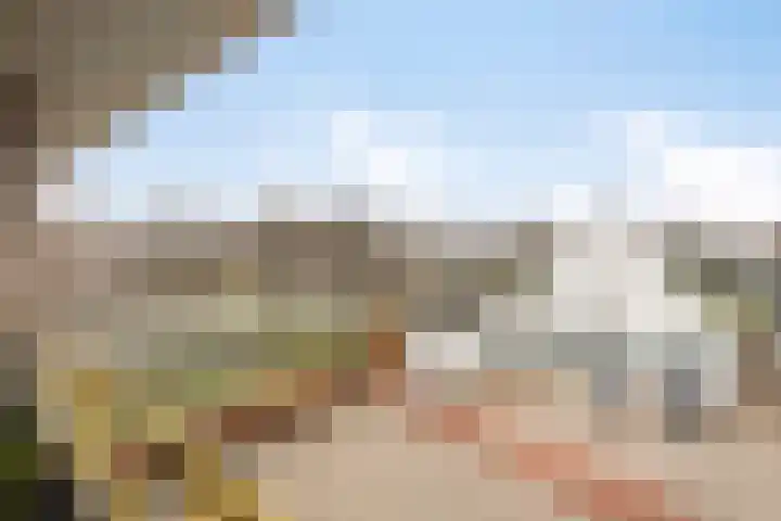 't Lindeke 42 Halsteren thumbnail 28