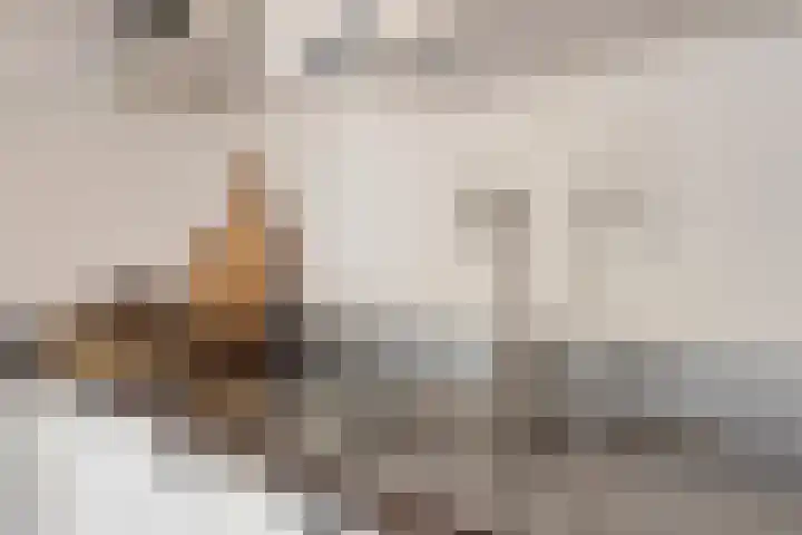 't Lindeke 42 Halsteren thumbnail 30