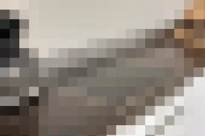 't Lindeke 42 Halsteren thumbnail 31