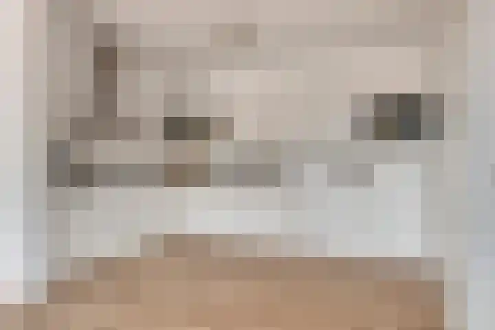 't Lindeke 42 Halsteren thumbnail 32