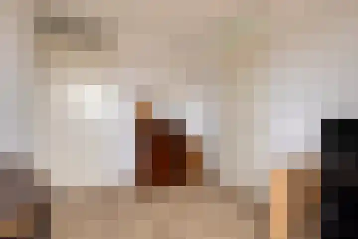 't Lindeke 42 Halsteren thumbnail 38
