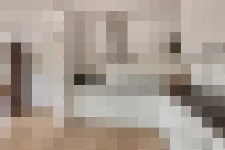't Lindeke 42 Halsteren thumbnail 4