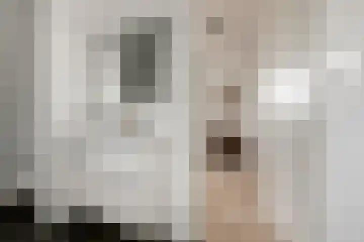 't Lindeke 42 Halsteren thumbnail 41