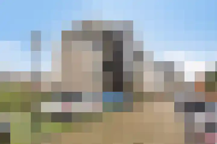 't Lindeke 42 Halsteren thumbnail 45