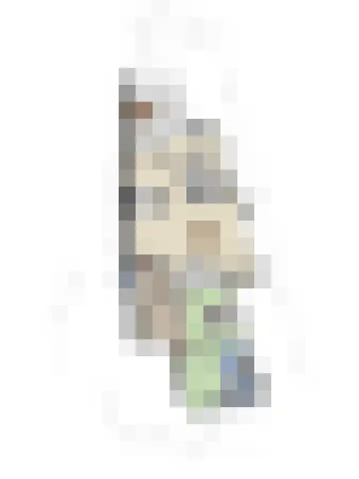 't Lindeke 42 Halsteren thumbnail 47