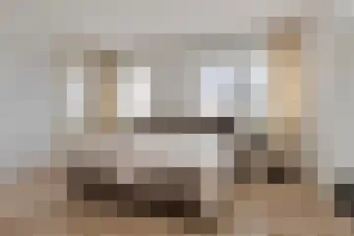't Lindeke 42 Halsteren thumbnail 5