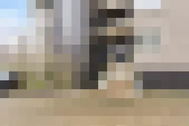 't Lindeke 42 Halsteren thumbnail 7