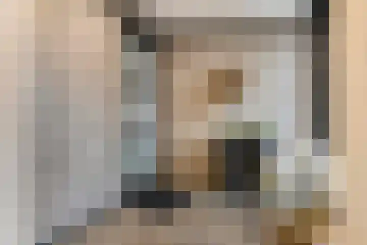 't Lindeke 42 Halsteren thumbnail 9