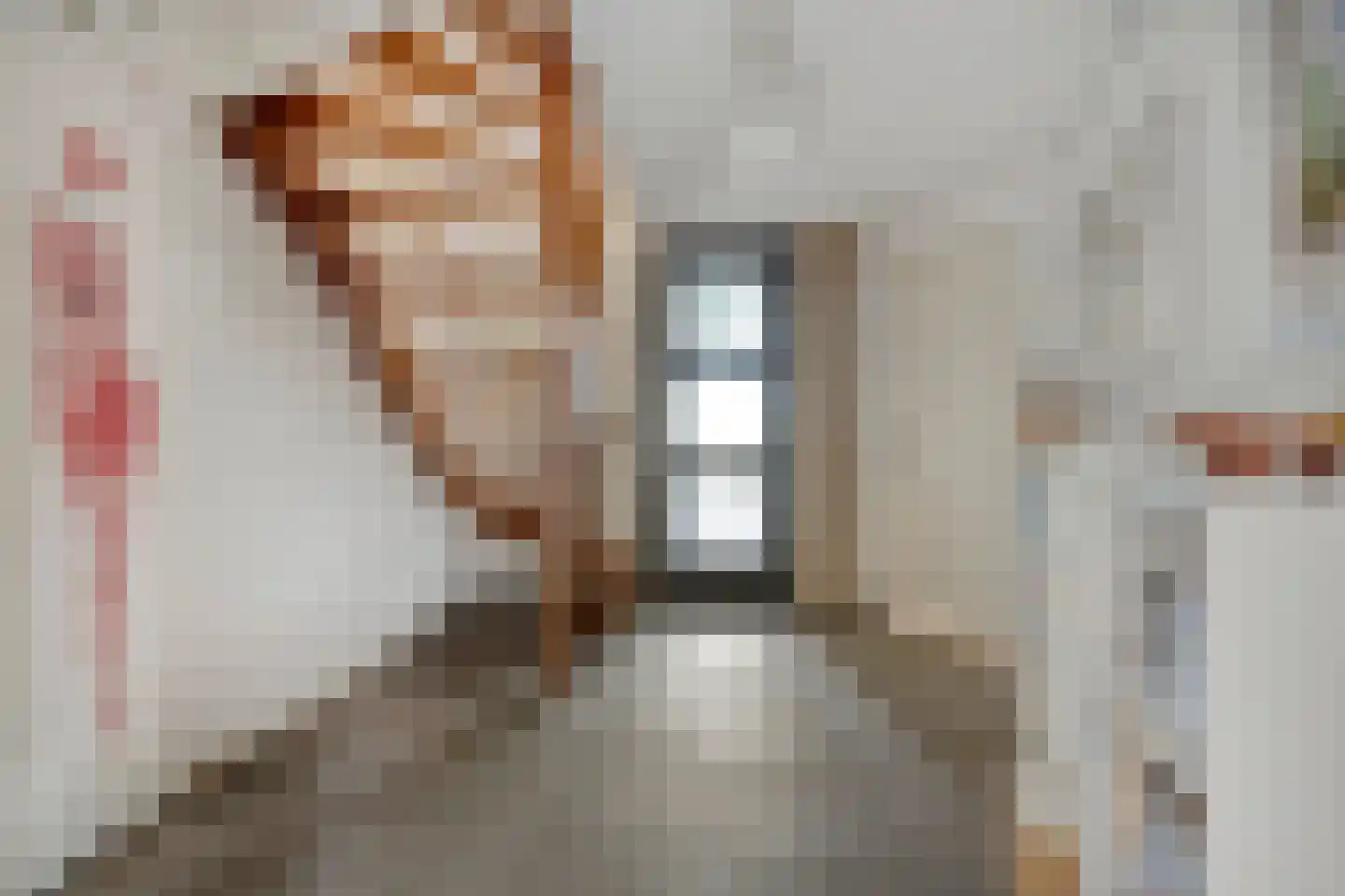 't Lindeke 48 Halsteren thumbnail 12