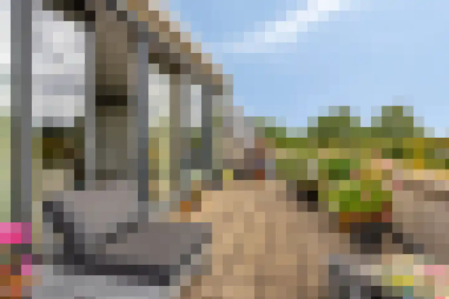 't Lindeke 48 Halsteren thumbnail 25