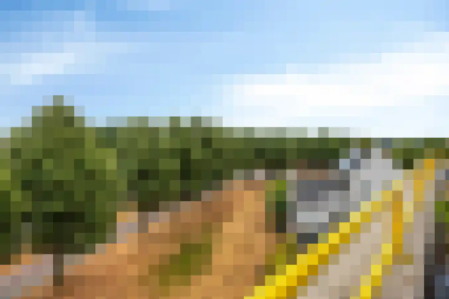 't Lindeke 48 Halsteren thumbnail 26