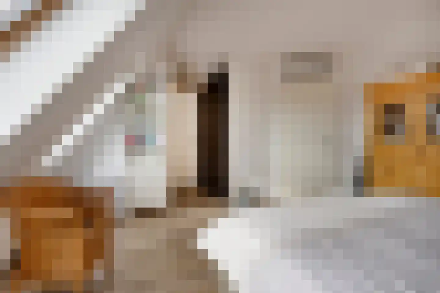 't Lindeke 48 Halsteren thumbnail 27