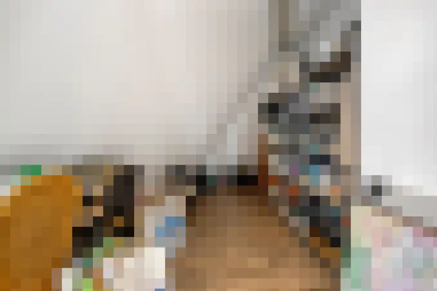 't Lindeke 48 Halsteren thumbnail 32