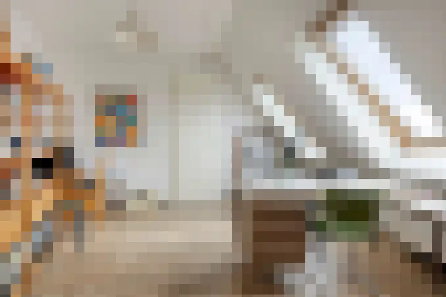 't Lindeke 48 Halsteren thumbnail 33