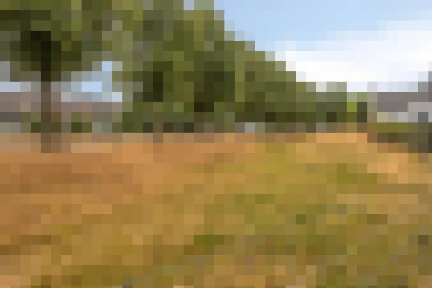 't Lindeke 48 Halsteren thumbnail 38